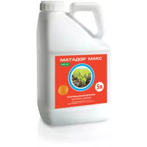 Протруйники Протруйники