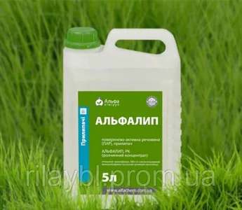 Прилипачі Прилипачі