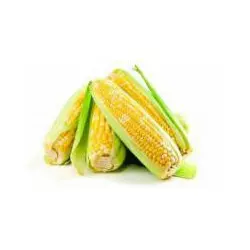 Семена кукурузы DKC 2870 (Monsanto)