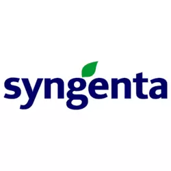 Семена подсолнечника НК Ферти (Syngenta)