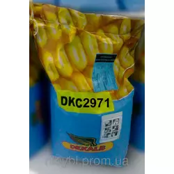 Семена кукурузы DKC 2971 (Monsanto)