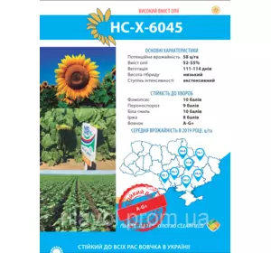 Семена подсолнечника НС Х 6045**7+екстра